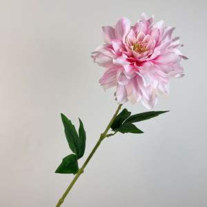 Bunga <span class=keywords><strong>Dahlia</strong></span> Belanda Tunggal dari Sutra Buatan Tangan untuk Pernikahan, Tahun Baru Imlek, Properti Foto & Dekorasi Rumah-Gaya Modern Tersedia Grosir - Product Image 6