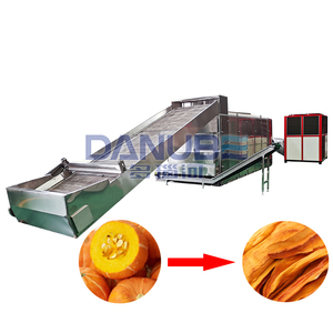 DANUBE Vegetable Mesh Belt Dryer Pumpkin Processing Dryer Pumpkin Cleaning and Slicing Dryer Line Vegetable <b>Dehumidifier</b> Machine - Product Image 1
