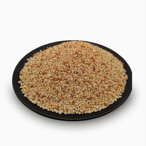 Urea Granulare 46%N Fertilizzante, Fornitura Stabile Specifica il porto di destinazione, rispondiamo rapidamente sul prezzo. - Product Image 1