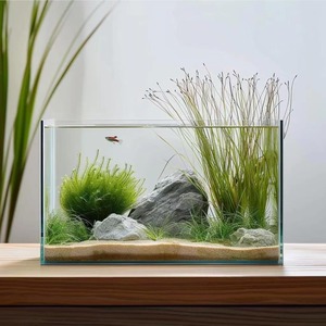 Petit aquarium en verre facile d'entretien, verre transparent, facile à nettoyer, aquarium d'eau douce, aquarium décoratif pour usage domestique - Product Image 3