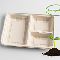 Plateau alimentaire jetable en gros écologique dégradé assiettes jetables et boîte de récipient alimentaire assiettes de restaurant
