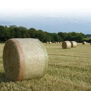 Özel boyut plastik ağlar Hay balya için ağ sargı silaj Tarp silaj filmi malçlama plastik balya sarma <span class=keywords><strong>Net</strong></span> - Product Image 3