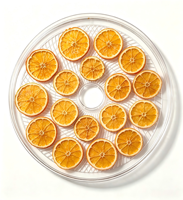 Déshydrateur alimentaire électrique BAIYI, vente directe d'usine, usage domestique, plastique, 5 plateaux, contrôle numérique, 250W, économe en énergie