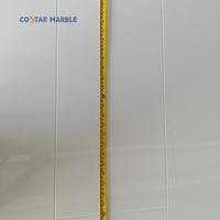 Offre Spéciale hôtel imperméable à l'eau pas cher personnalisé panneaux de salle de bain douche marbre douche mur Surround douche panneaux muraux