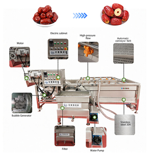 Machine automatique à dénoyauter les dattes rouges, machine à dénoyauter les fruits, machine à dénoyauter les pruneaux, les jujubes et les dattes séchées - Product Image 5