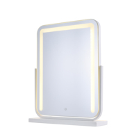 Bande lumineuse lumineuse Rotation personnalisable Maquillage Table de bureau cosmétique Miroir de courtoisie GMM1008