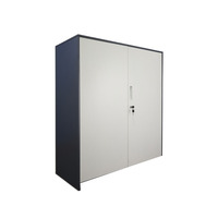 Armoire à dossiers métallique moderne, démontable, verrouillable et réglable, pour le rangement de bureau commercial et la maison (bureau, salon)