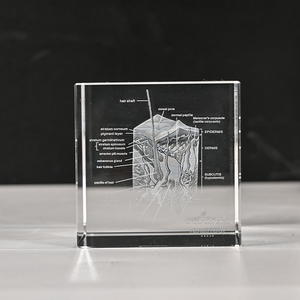 Nueva llegada Venta caliente 3D Grabado con láser Cubo de cristal en blanco Bloques de cristal 3D Regalos - Product Image 4