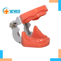 Modelo de Práctica de Implantes Dentales de Resina y PVC, Entrenamiento de Comunicación Médico-Paciente para Ciencias Médicas