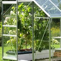Pack de serres 2 x 3 m avec structure en aluminium argenté, outils de jardin naturels traités sous pression, pour plantes de jardin et arrière-cour