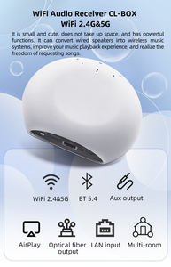 Système <span class=keywords><strong>audio</strong></span> multiroom Airplay pour la maison, <span class=keywords><strong>streamer</strong></span> <span class=keywords><strong>audio</strong></span> Wi-Fi et Bluetooth avec récepteur de musique <span class=keywords><strong>HiFi</strong></span> sans fil optique auxiliaire, amplificateurs - Product Image 4