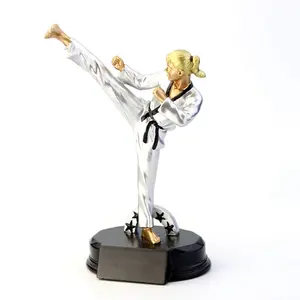 Hot bán Trophy bức tượng đá Taekwondo nhựa giải thưởng Taekwondo Trophy