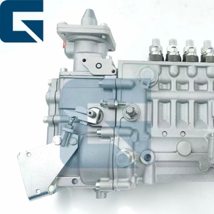0423-4301 Fuel Injection <b>Pump</b> for BF6L914 Engine - Product Image 2