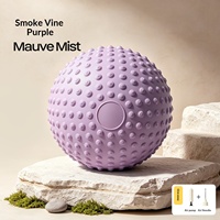 Ballon de massage de yoga en PVC de 25 cm, pointu et convexe, pour l'entraînement de Pilates, les exercices abdominaux et du plancher pelvien, avec pompe