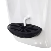 Machine à glace molle commerciale de comptoir 220V, petite, mini, portable, avec options fruits, lait, eau, chocolat, qualité alimentaire