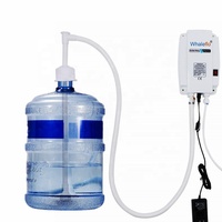 Pompe à eau en bouteille Whaleflo BW4003A de haute qualité, similaire à Flojet AC 110V 220V