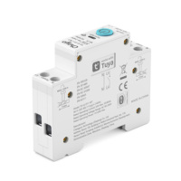 Interrupteur Wi-Fi TUYA avec Mesure, Disjoncteur Intelligent 1P+N 63A Rail DIN, Contrôle à Distance Sans Fil pour Maison Connectée TONGOU
