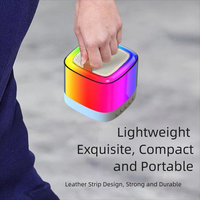 En gros, Mini enceinte karaoké BT 5.1 portable avec poignée, 2 micros, éclairage RGB coloré, compatible Android, son haute fidélité, USB/SD