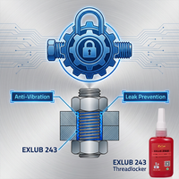 EXLUB 243 Colle époxy industrielle pour verrous de filetage 250ml – Scellant permanent anti-desserrage pour fixations en acier inoxydable