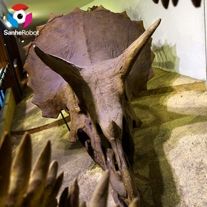 Fibra <span class=keywords><strong>de</strong></span> vidrio dinosaurio fósil tamaño Real dinosaurio esqueleto réplica modelo precio para <span class=keywords><strong>Parque</strong></span> <span class=keywords><strong>de</strong></span> Atracciones - Product Image 5