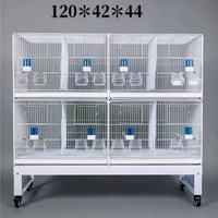 Cage d'élevage d'oiseaux modulaire galvanisée extensible, grande, multicouche, haute durabilité pour l'élevage à long terme avec plateau extractible
