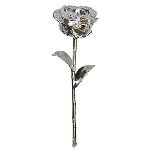 Rosa Natural Auténtica Chapada en Plata 999 |   Rosa Preservada de Lujo |   Regalo artesanal de larga duración para el Día de San Valentín, bodas o cumpleaños - Product Image 1