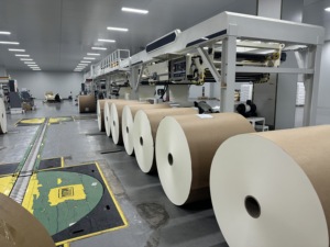Papier cartonné enduit d'un seul PE de qualité alimentaire, imperméable, en rouleau, pour gobelets jetables pour boissons froides et jus - Product Image 5