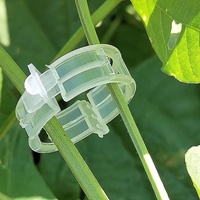 Clips de support et piquets de treillis en plastique modernes et durables pour tomates et vigne grimpante - Fournitures de jardin en PP