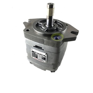 เปลี่ยนปั๊มไฮดรอลิกแบบใบพัด IGH-4F-25 รุ่น IGH/IGC-2E/2F/3E/3F/4E/4F/5E/5F-3.5/6.5/10/13/16/25/32/40/50/64-R - Product Image 1