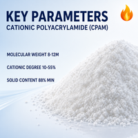 Poudre de floculant polyacrylamide cationique Zhendong, pureté 99 %, pour le traitement des eaux usées et la clarification de l'eau