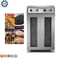Déshydrateur Commercial de Fruits / Machine de Séchage pour Aliments / Four de Séchage de Fruits