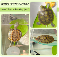 Habitat moderne écologique pour grenouilles arbres, reptiles, amphibiens, petites plantes en plastique réalistes, boîte pour animaux de compagnie, décoration paysagère