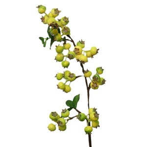 <span class=keywords><strong>Planta</strong></span> de fruta de bayas frescas nórdicas de arándanos artificiales de plástico recién llegado para accesorios de fotos, novedad de 2017 - Product Image 4
