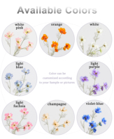 Fabrik-Großhandel 60cm Künstliche Cosmos-Blume Seiden-Kunstblume Gloriosa-Gänseblümchen für Hochzeits-Floristen Großhandelslieferung Heim- und Eventdekoration