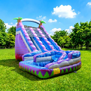 Toboggan aquatique gonflable Winsun, double piste, aire de jeux pour enfants, en PVC, certifié CE, ignifuge et étanche - Product Image 1
