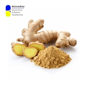 Extracto de raíz de jengibre Premium 20% gingeroles | Soporte digestivo natural y antiinflamatorio | Polvo orgánico Zingiber Officinale - Product Image 2