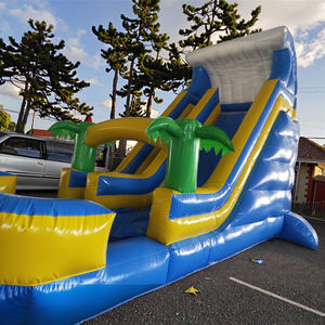 4 מ '* 6m * 5m pvc חומר חיצוני מתנפחים הטירה סגנון חדש קופצני קפיצה שקופית שקופיות מסחרי מתנפחים יבש שומר יבש לילדים - Product Image 4