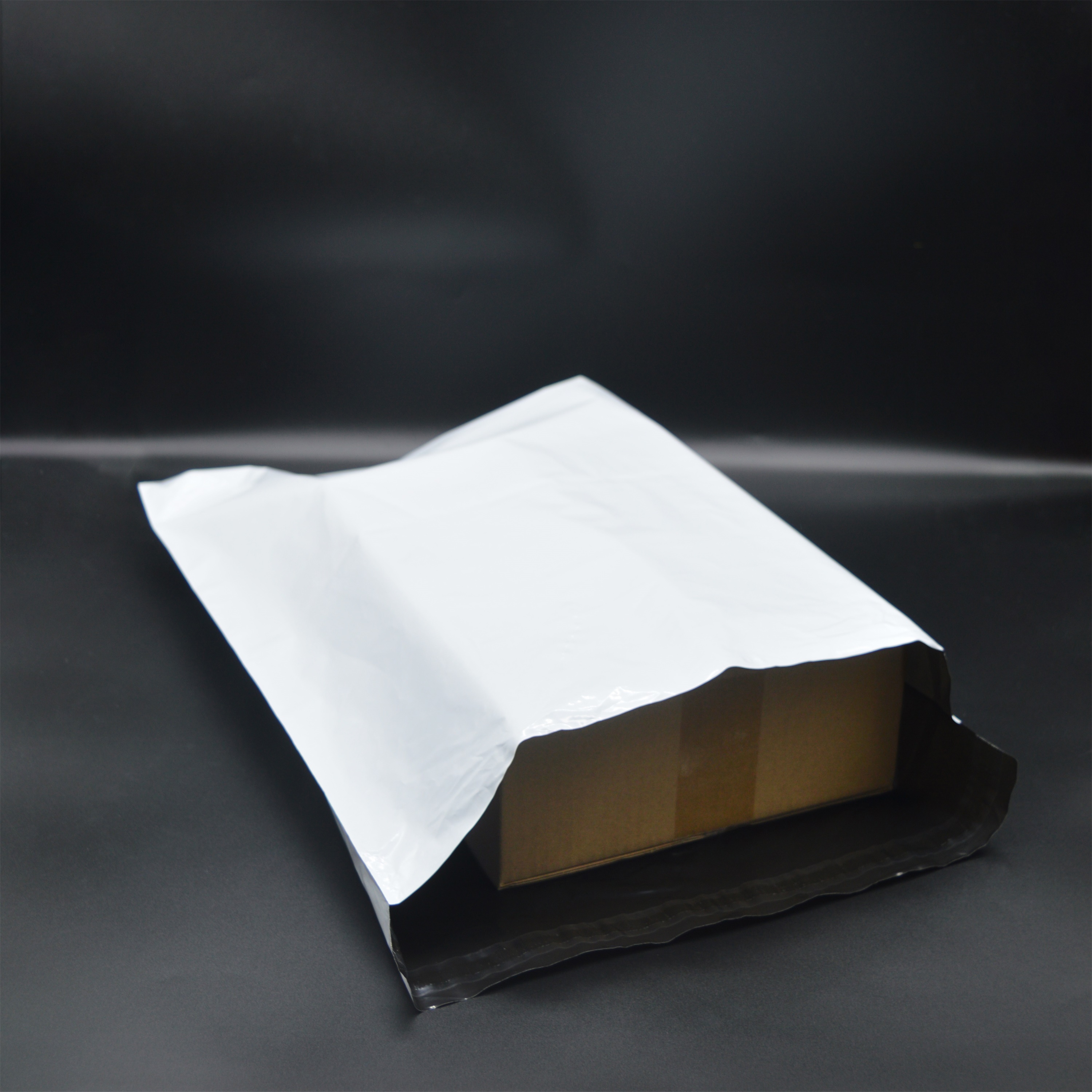 shipping envelope bag