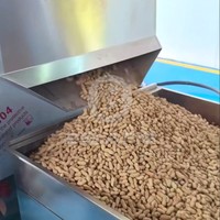 Torréfacteur automatique en acier inoxydable à chauffage uniforme pour noix de cajou, pignons de pin, noix et amandes, avec séparation du sel