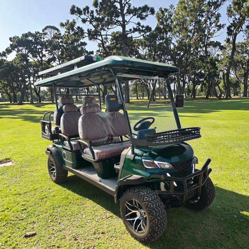 New Design Golf Cart Street Legal