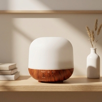 Diffuseur d'huiles essentielles de 250 ml avec lumière LED, diffuseur d'aromathérapie à ultrasons pour la maison, le bureau et l'hôtel