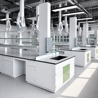 Banc de travail de laboratoire scolaire avec plan de travail en résine époxy, structure en acier durable, conception modulaire, mobilier de laboratoire scientifique sur mesure