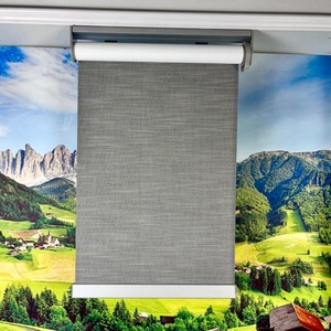 Mechanical Full Window <strong>Roller</strong> <strong>Blind</strong> Blackout Automatic <strong>Blinds</strong> <strong>Smart</strong> Shades Motorized <strong>Roller</strong> <strong>Blinds</strong> - Product Image 4