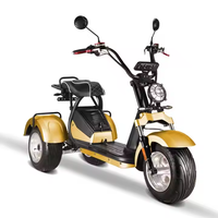Triciclo Eléctrico de Golf CityCoco de 3 Ruedas con Almacén en EE. UU. 2026, 3000W, Llantas Anchas, Largo Alcance, Cuerpo Cerrado de Acero Tipo Inteligente para Adultos