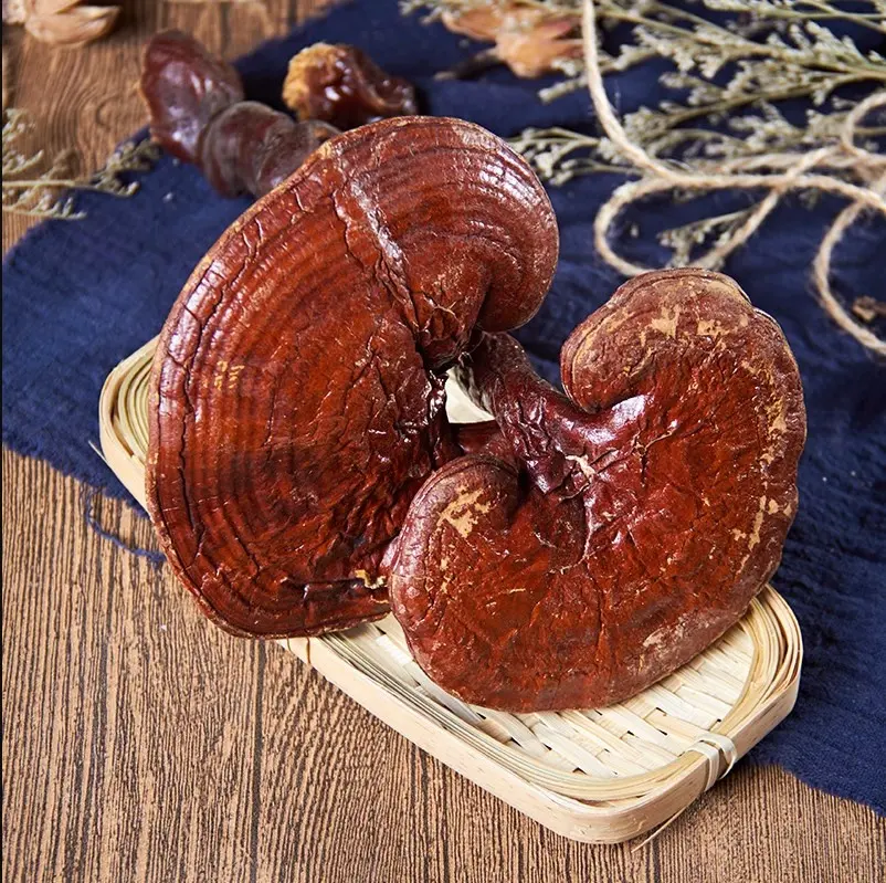 लिंग Zhi चीनी उच्च गुणवत्ता लाल स्पष्ट अर्थ ganoderma/Reishi मशरूम