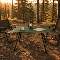Table de pique-nique portable légère en aluminium pour le camping, la plage, les barbecues, la randonnée et les voyages, avec sac de transport