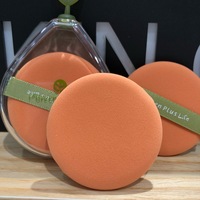Nouveau Pigment vert lavable écologique deux-Pack coussin BB crème fond de teint facile à appliquer bouffée A286