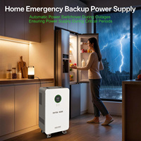 Stock UE DATOU BOSS 5kW 5.22kWh Système de stockage solaire domestique tout-en-un 51.2V Batterie LiFePO4 Onduleur hybride Livraison rapide locale