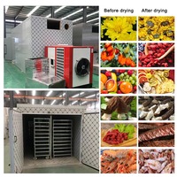 Déshydrateur alimentaire pour fruits et légumes séchoir solaire fruits et légumes séchoir à bande en maille commercial fruits et légumes