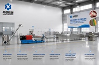 Machine automatique de fabrication de pailles biodégradables à haute capacité à partir de farine de riz, équipement d'extrusion alimentaire, ligne de production de pailles de riz